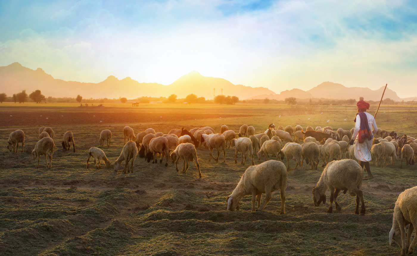 Agricultural & Ecological benefits of Geomancy