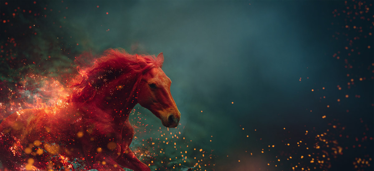 Year of the Fire Horse
